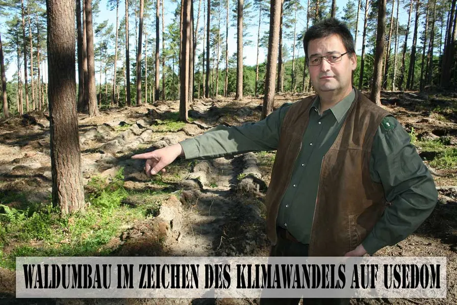 Waldumbau auf Usedom