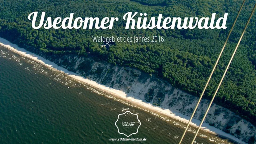 Usedomer Küstenwald