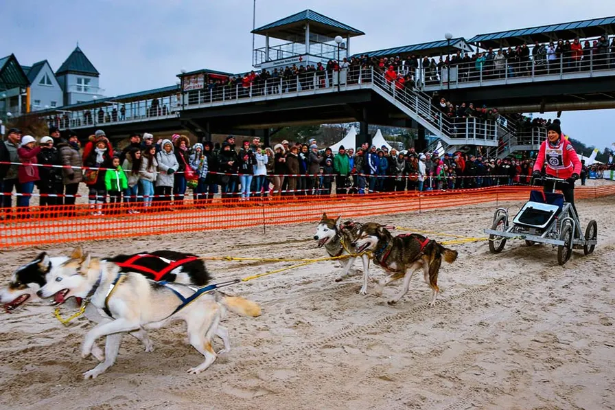Schlittenhunderennen in den Kaiserbädern