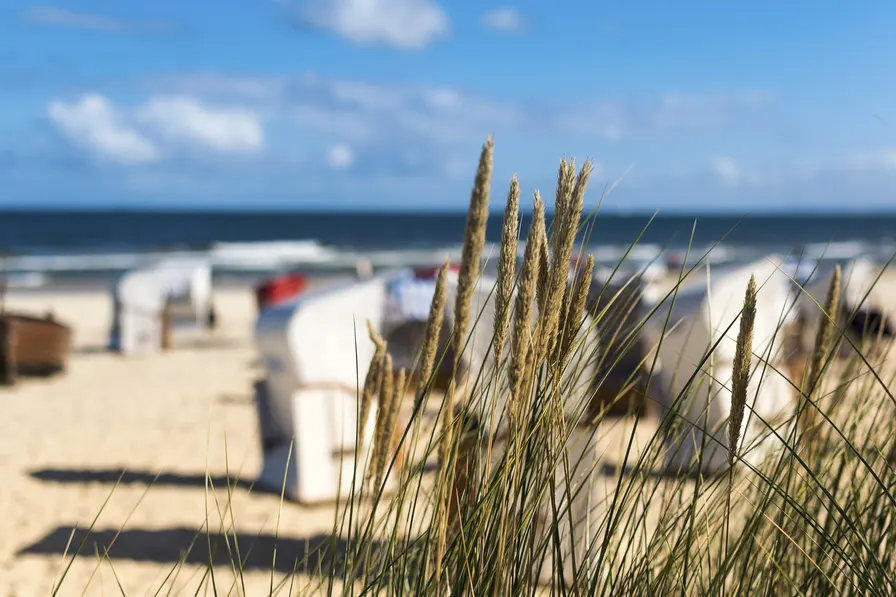 Was macht Usedom aus? Wo ist Usedom einzigartig?