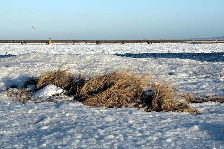 Usedom - Auch im Winter eine Reise wert