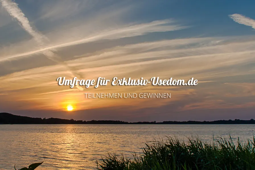 Umfrage zur Buchungsverwaltung