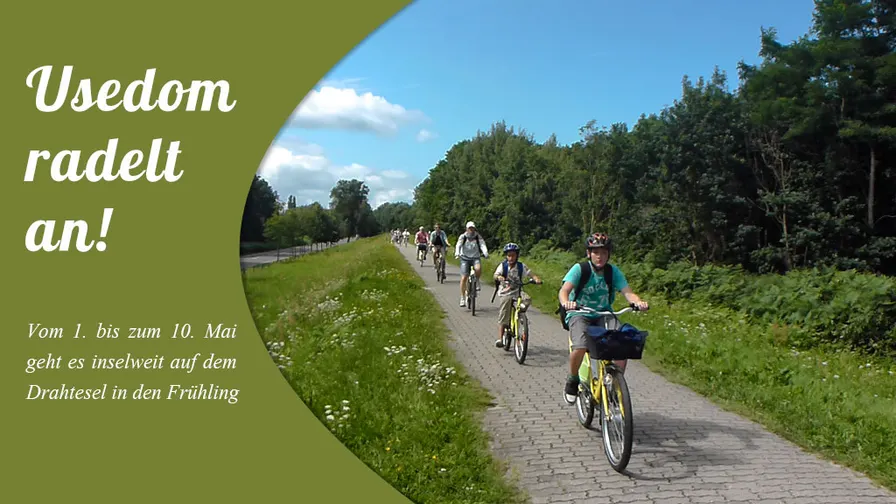 Usedom mit dem Fahrrad entdecken