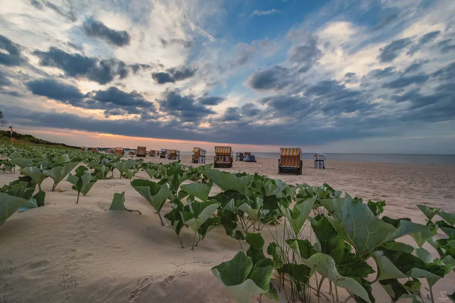 Usedom Tourismus ruft inselweiten Ideenwettbewerb aus