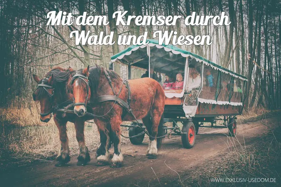 Mit dem Kremser durch Wald und Wiesen