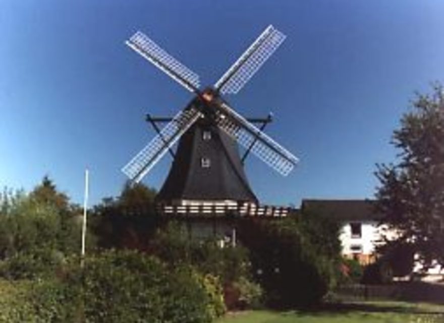 Windmühle Tarp