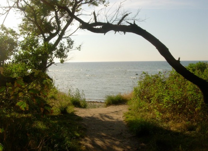 Strandweg Schwarzer Busch