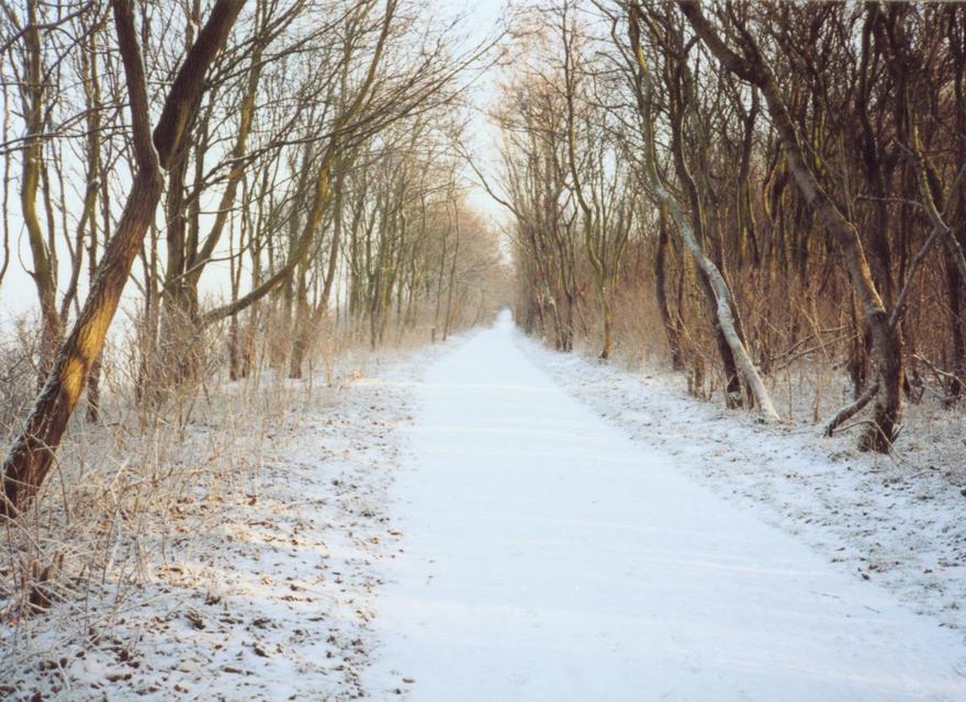 Strandweg nach Gollwitz