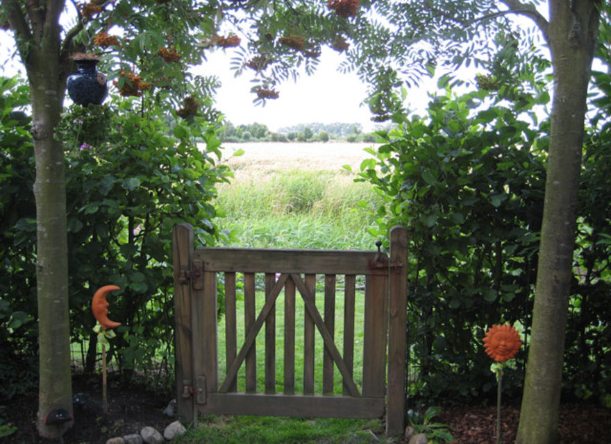 Hinaus in die Natur ...