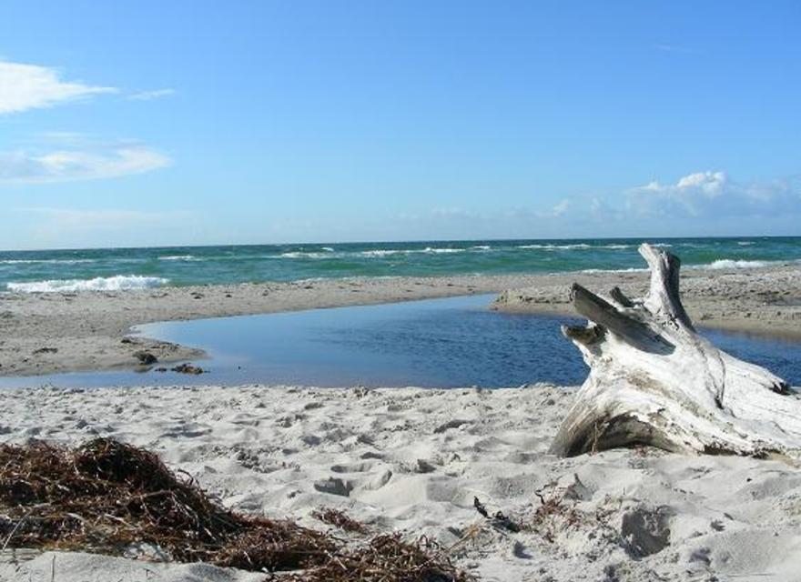 Weststrand für Naturfreunde