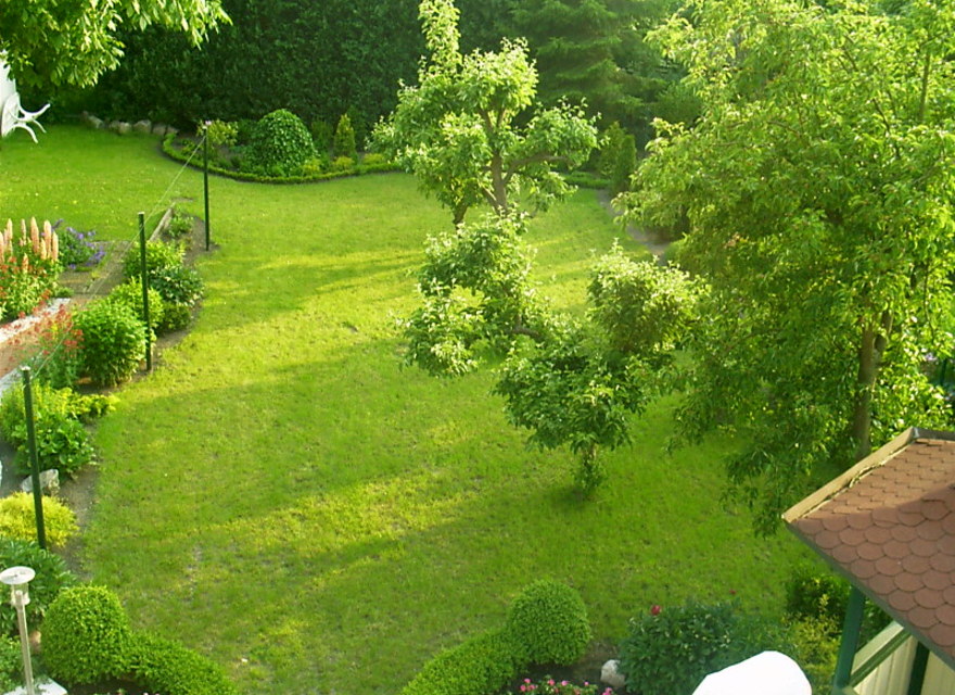 Der Garten.