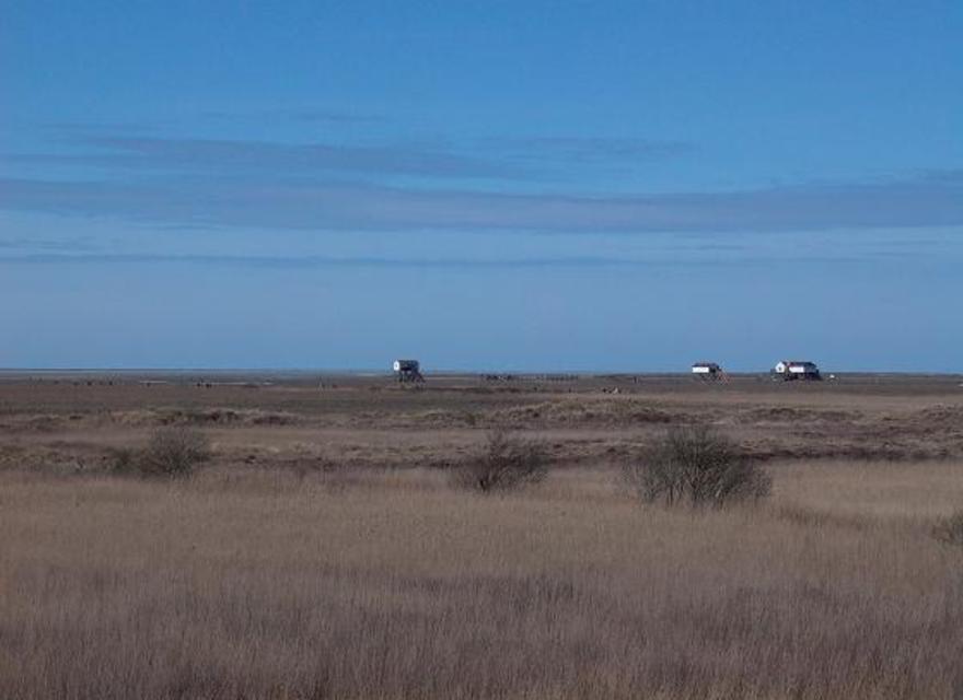 Sandstrand