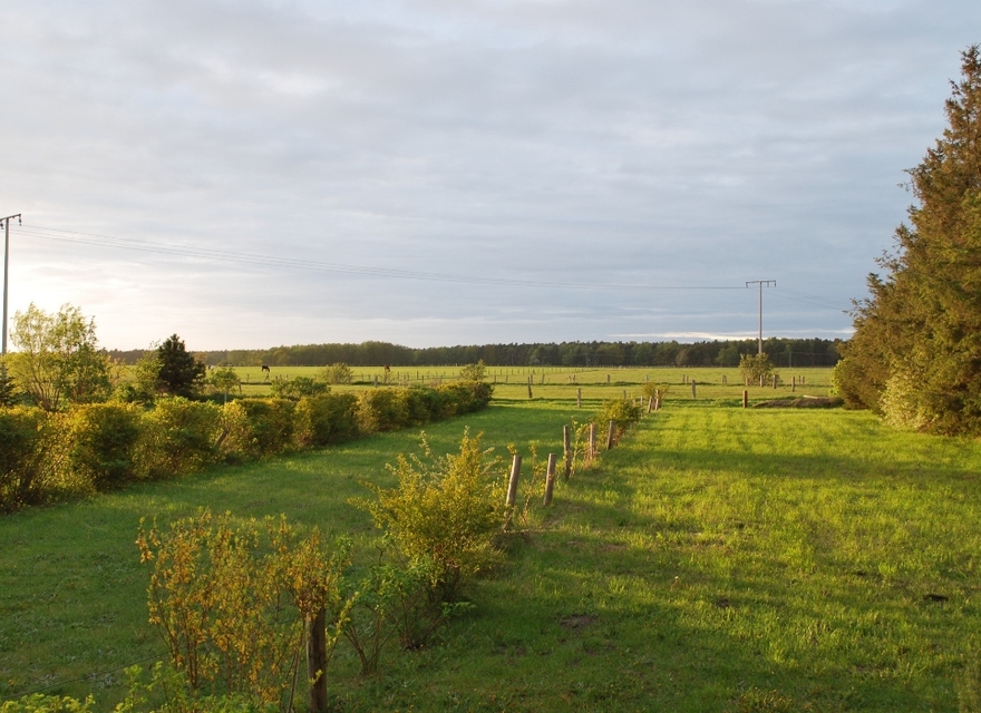 Garten und Aussicht Darß