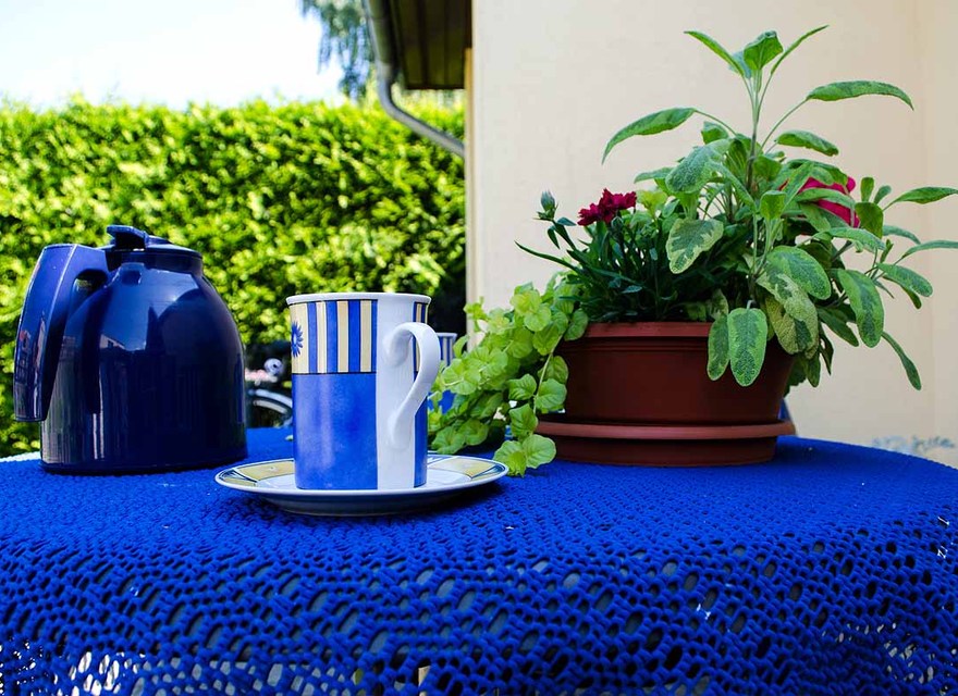 Frühstück am Morgen