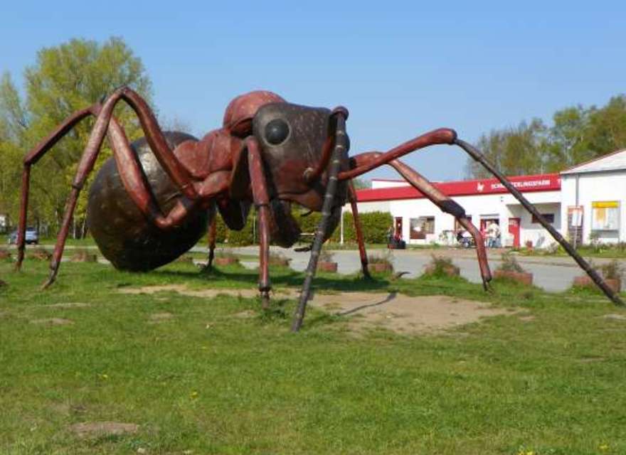 Schmetterlingsfarm 