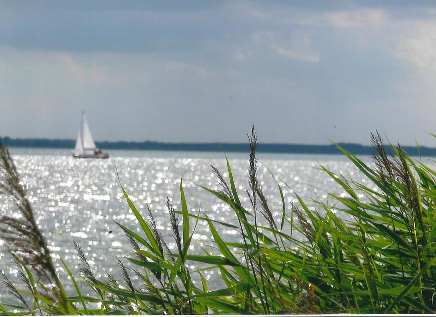 Segeln auf dem Bodden