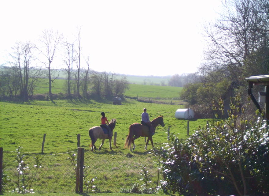 Ausblick Wohnzimmer + Küche