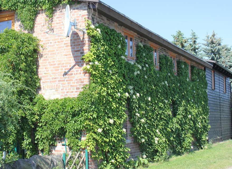 Aufgang  Ferienwohnung