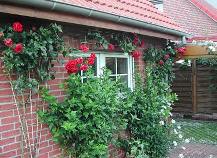 Im Garten