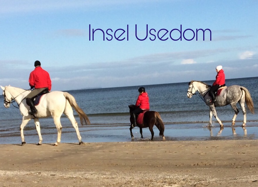 Reiten am Strand