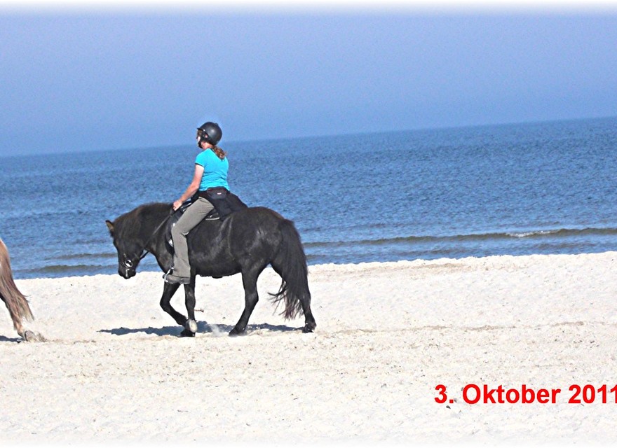 Reiten am Strand Okt.11 26grad