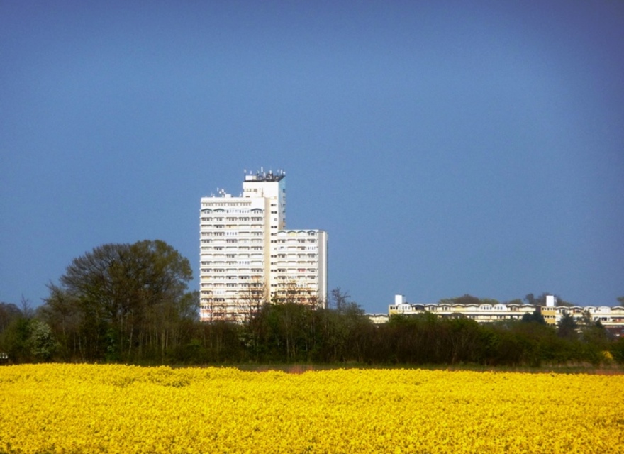 Haus Kiel auf dem Holm