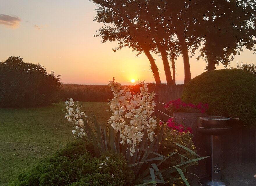 Sonnenuntergang am Hof