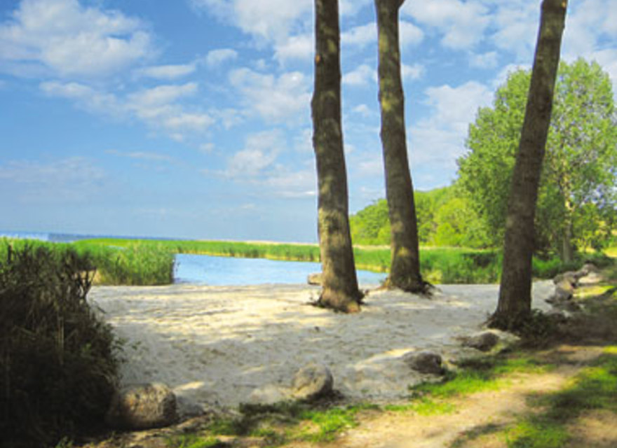 kleine Badestelle am Haff