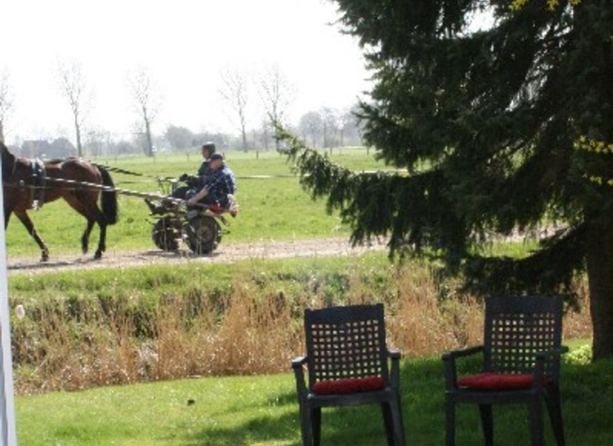 Garten, Teilansicht/Wohnzimmer