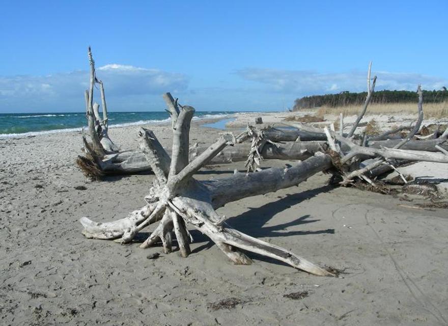 Ostseestrand im Herbst
