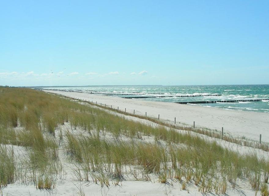 Ostseestrand im Sommer