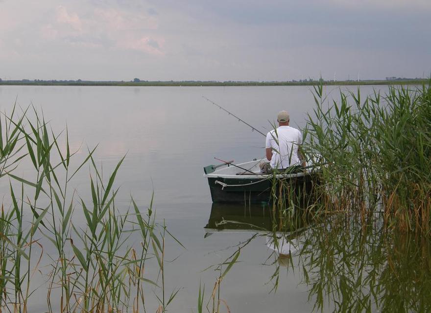 Angeln im Bodden (bei Fitzka)