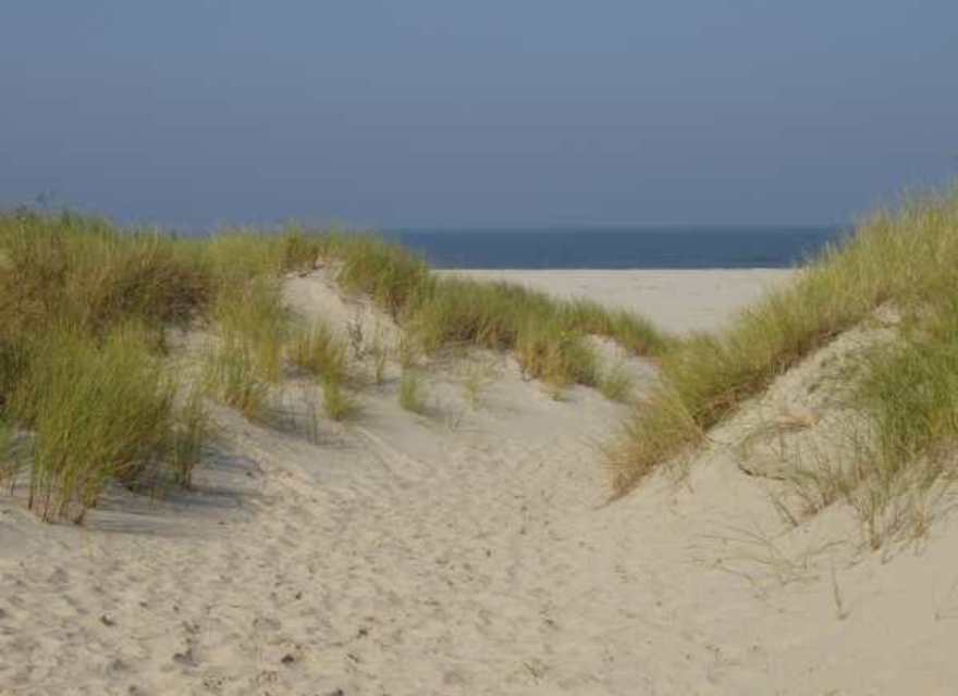 Feiner Sandstrand, Dünen