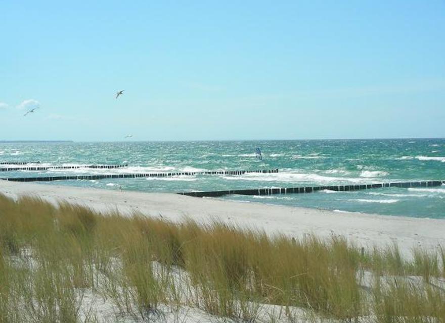 Ostseestrand im Sommer