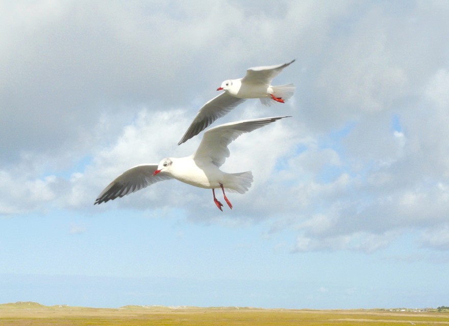 Schöne Ausflüge machen ...