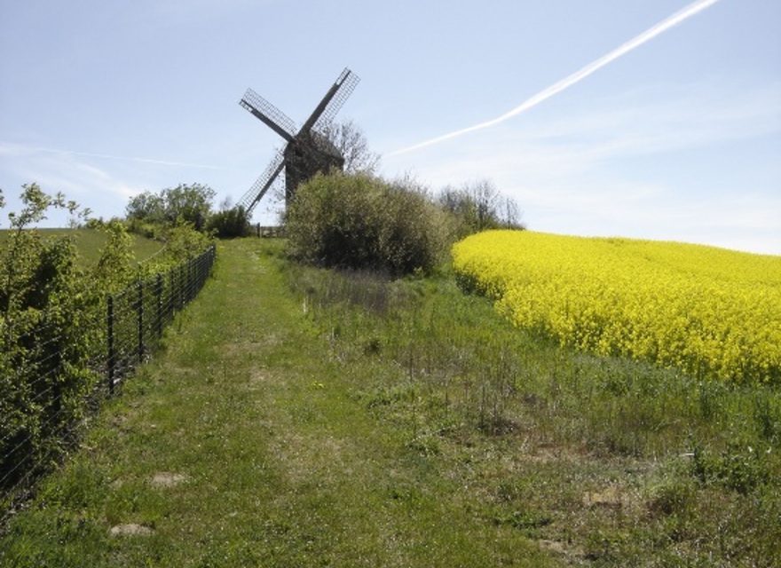Alte Windmühle bei Benz