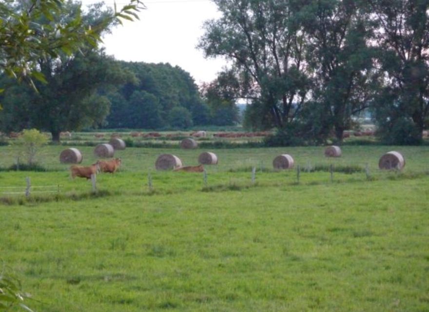 Das Thurbruch direkt am Haus