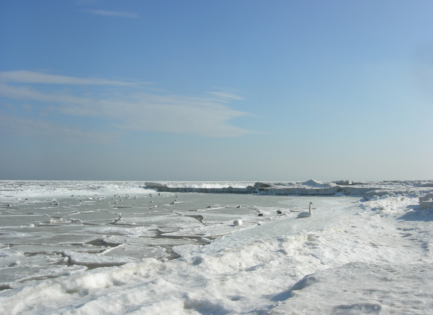 Winter