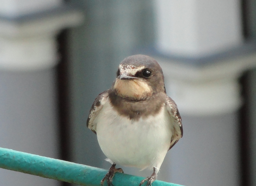 Sie werden schon erwartet