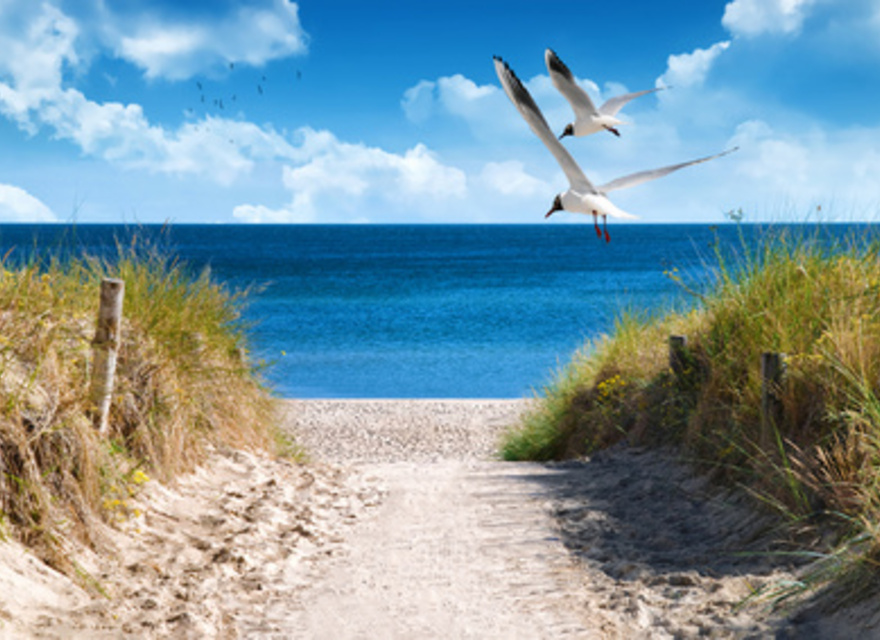 Strandleben