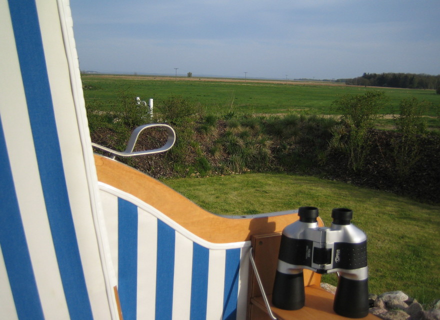 freier Blick in die Natur