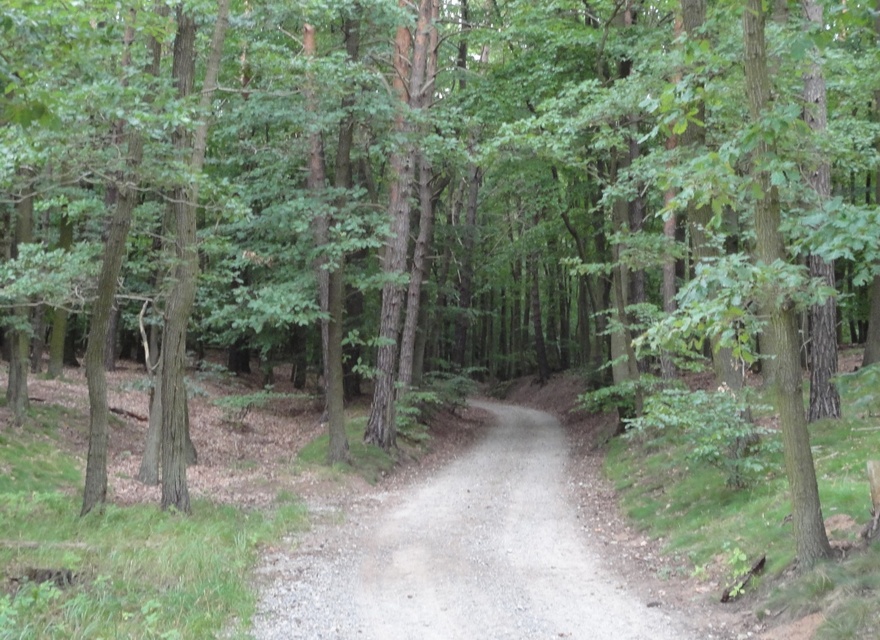 Radweg nach Ahlbeck
