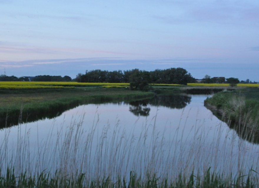 Erleben Sie die Natur 