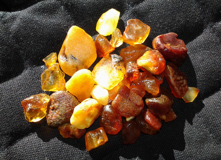 Infos beim Bernstein Workshop