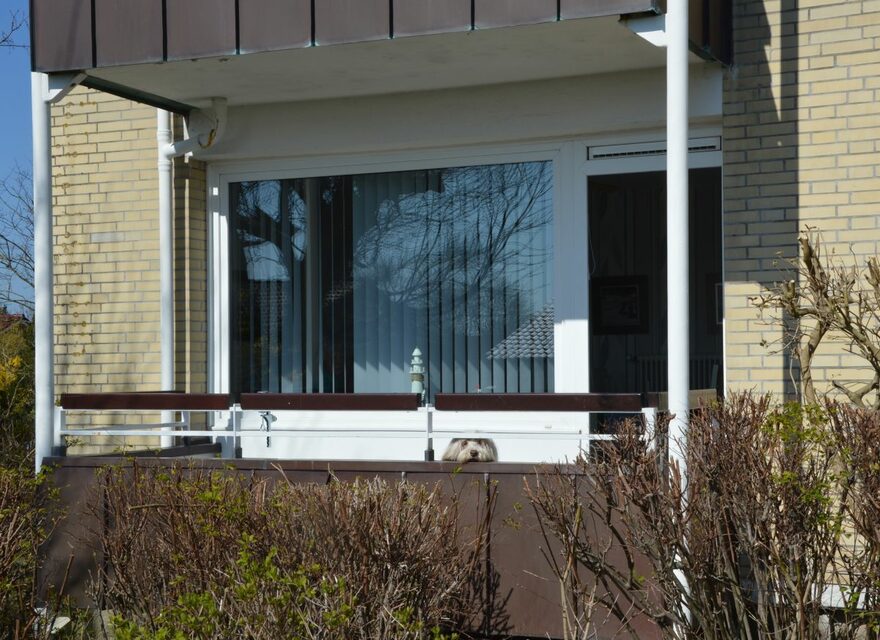 Balkon mit Südausrichtung