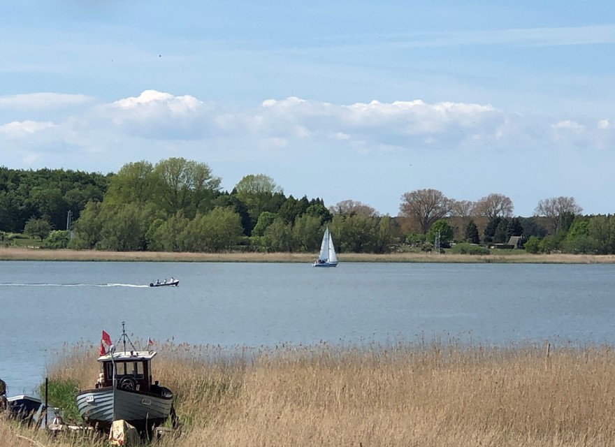Peeneblick