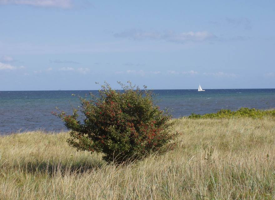 Wandern auf der Geltinger Birk