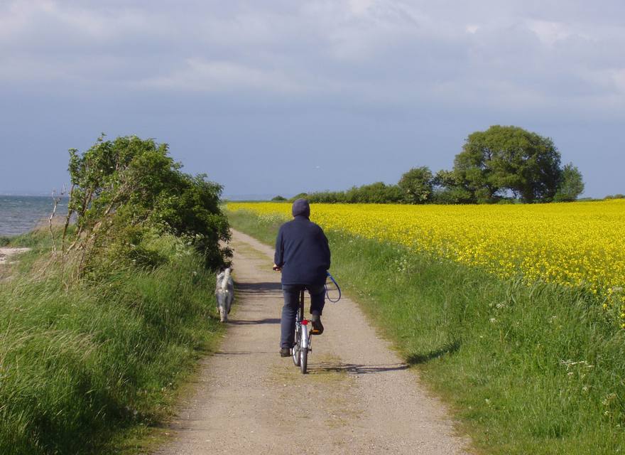 Weg von Wackerballig zur Birk