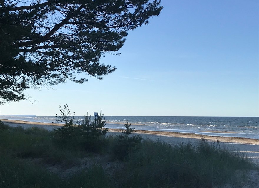 Strand 