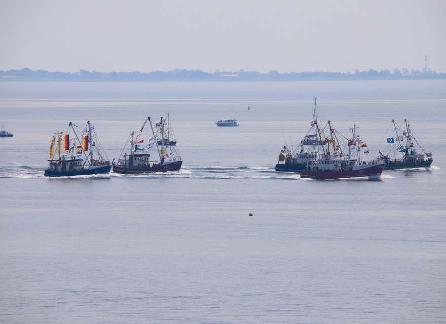 Kutterregatta